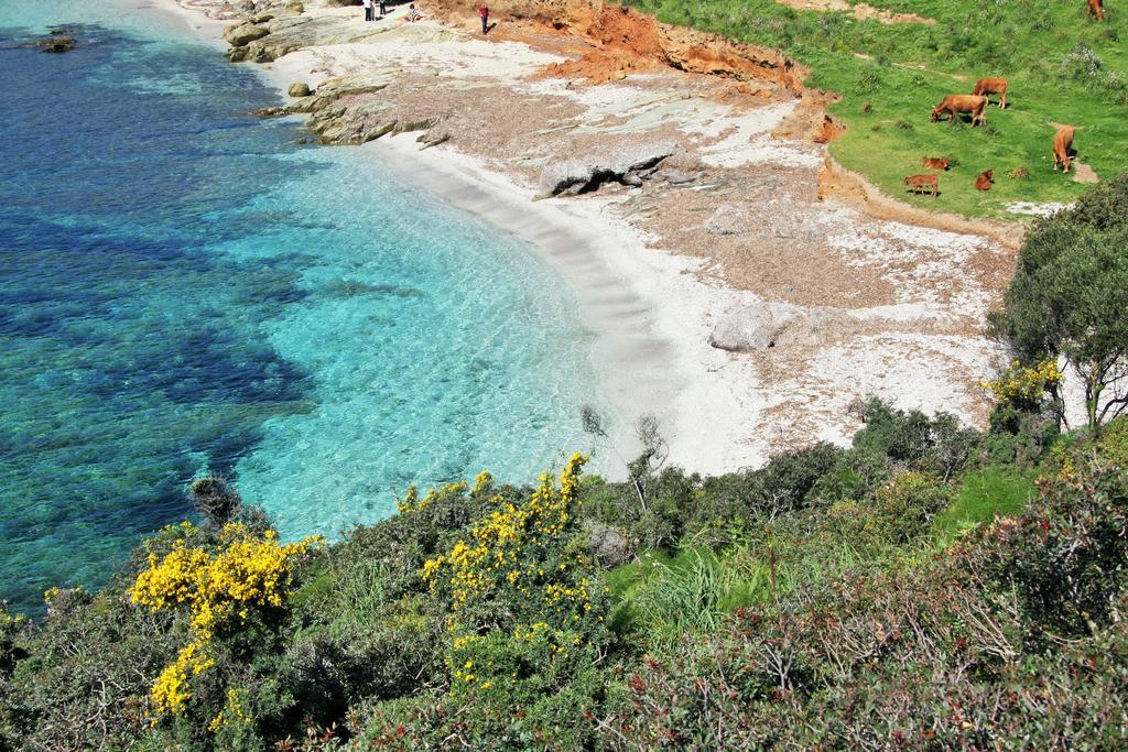 Vila Agriturismo S'Arxola Teulada Exteriér fotografie