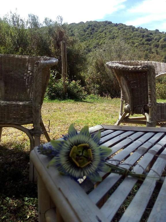 Vila Agriturismo S'Arxola Teulada Exteriér fotografie