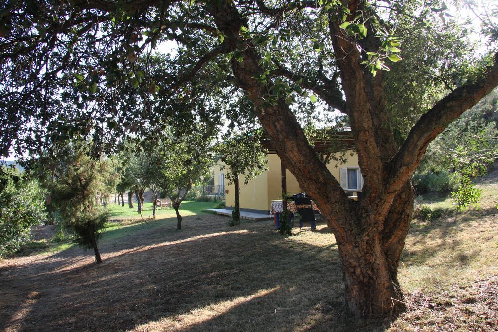 Vila Agriturismo S'Arxola Teulada Exteriér fotografie
